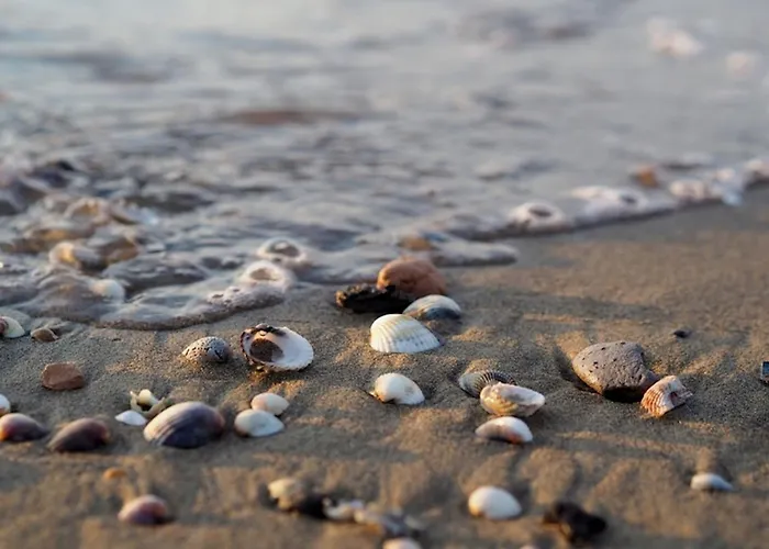 Peaceful Flat With Terrace And Wifi